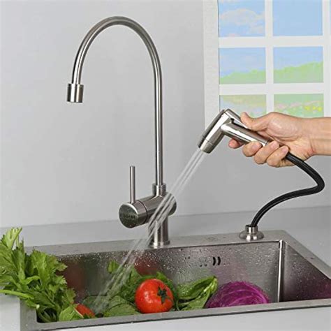 kitchen sink sprayer|Kitchen Sink